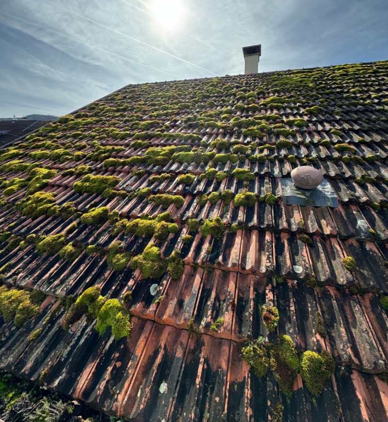 Types encrassement toiture mousses algues lichens hydrocarbures traitement Avatix