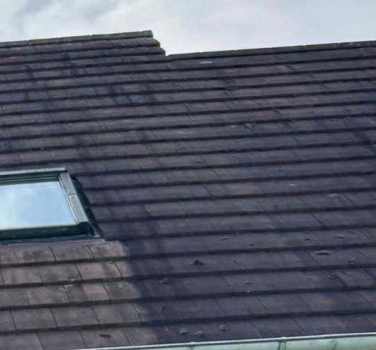 algue noir toiture avatix